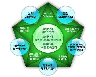 7개의 연구센터와 의료관광, 맞춤신약, 첨단의료기기, 이식의학 등 4개의 클러스터로 구축