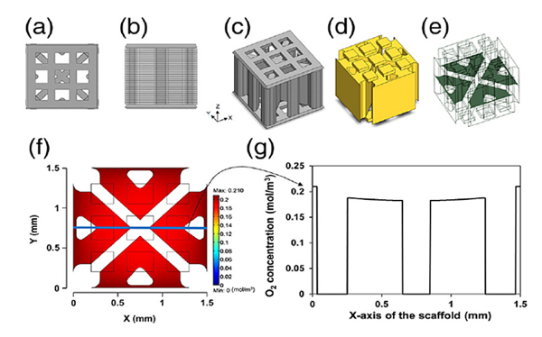 hydrogel/3D-frame