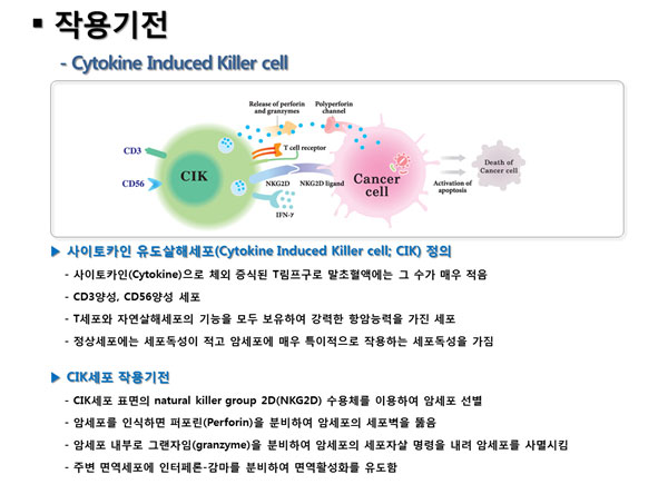 작용기전 - Cytokine Induced Killer cell, 사이토카인 유도살해세포이 정의, CIK세포 작용기전
