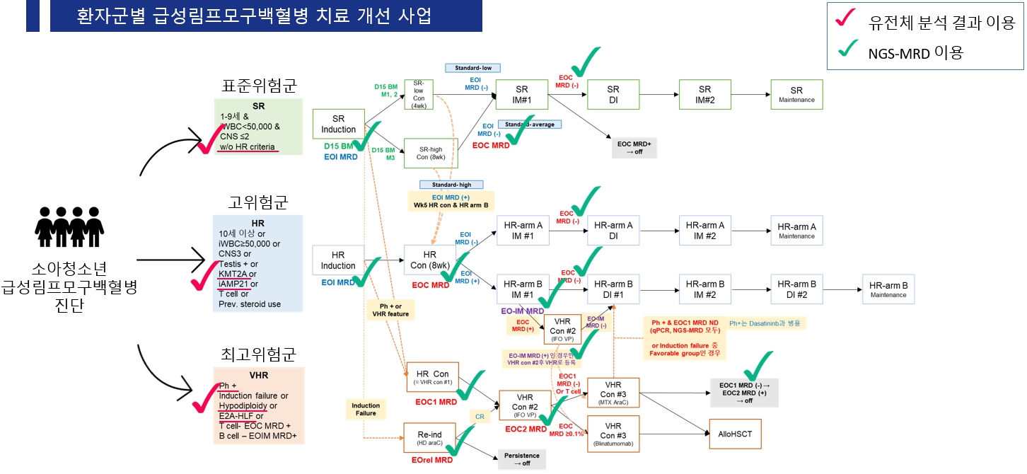 [병원뉴스]소아 급성림프모구백혈병, 국내 최초 통합 치료 시스템 구축