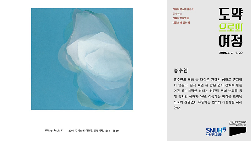 홍수연 작품, White Rush #1