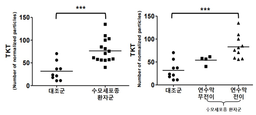 [그래프] TKT 양성 세포외소포 개수 비교. 