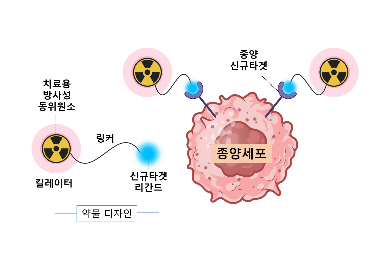 방사성 리간드 치료제의 종양 치료 기전