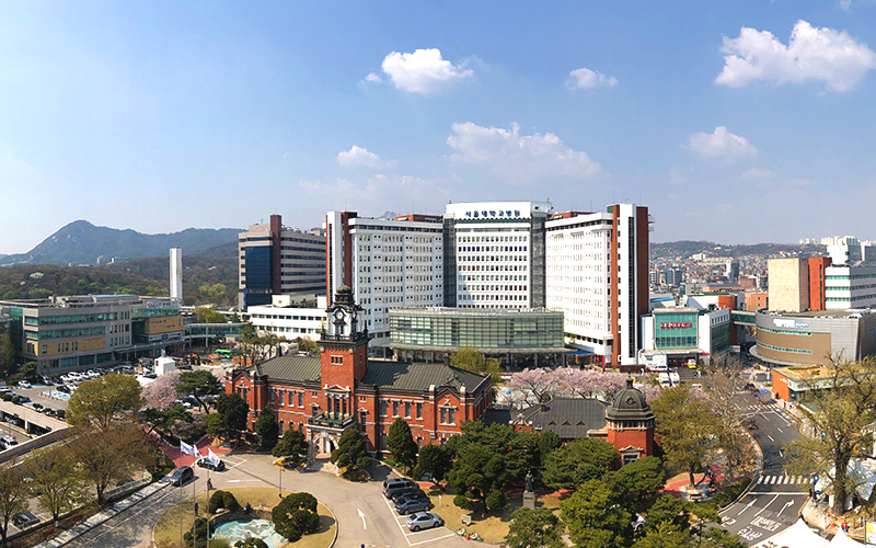 서울대학교병원 3266