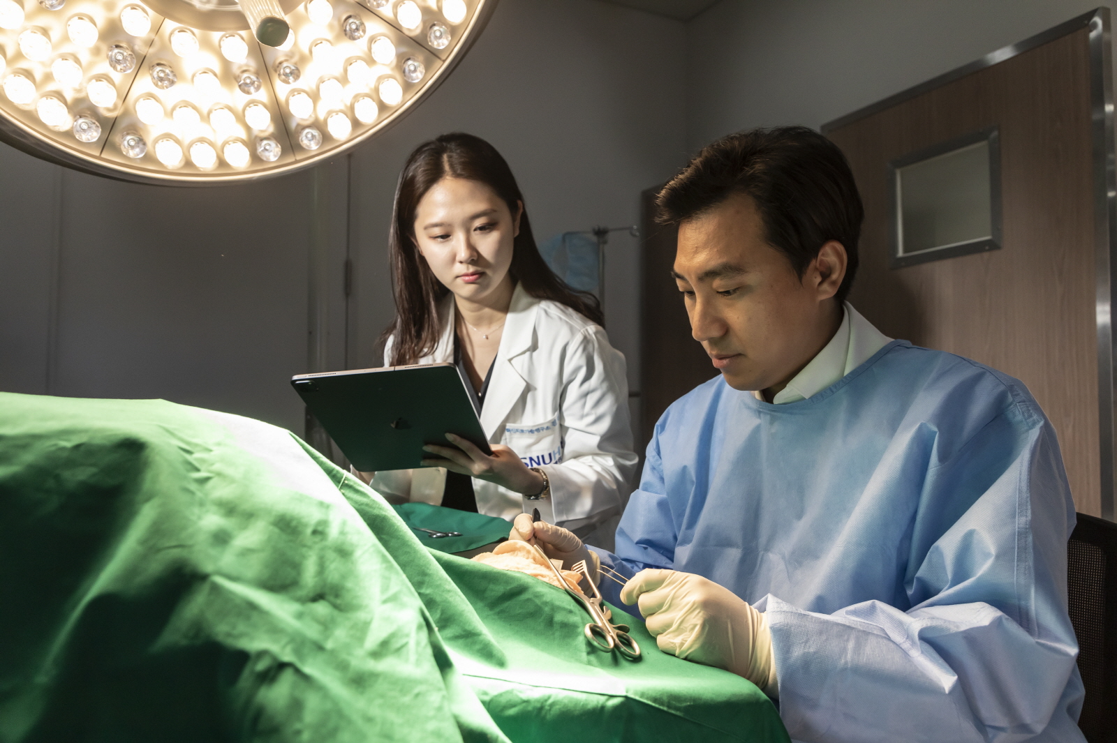 진료 및 수술 이미지