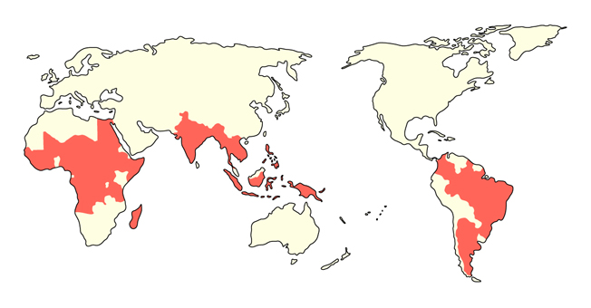 전 세계 한센병의 분포