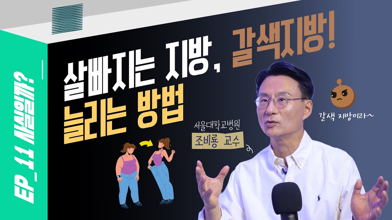 살빠지고 암치료까지? 서울대병원 교수가 말하는 갈색지방!